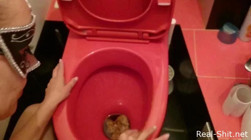 VibeWithMolly - I'm Licking a Dirty Toilet - Brown Wife - Escape To The Toilet, Concentrate Diarrhea, Femdom Vomit