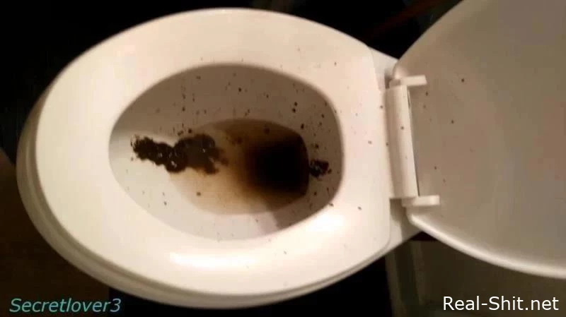 Toilet Spray - Secretlover3 - Peanut Shit, Cooking Shit, Swallow Long Shit