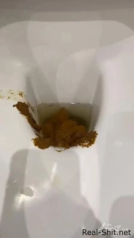 A big pile of shit in the toilet. P1 - Spew Shit From Your Ass, Tasty Copro, Scat Shit Sex